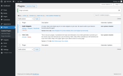 Page screenshot: Plugins &lsaquo; Test site &mdash; WordPress