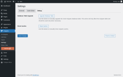 Page screenshot: Snippets → Settings → Debug