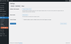 Page screenshot: Snippets → Settings → Debug