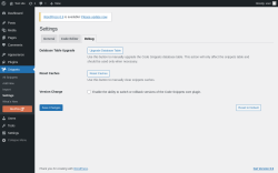 Page screenshot: Snippets &rarr; Settings &rarr; Debug
