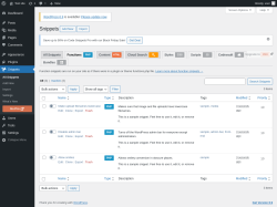 Page screenshot: Snippets &rarr; Functionsphp