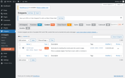 Page screenshot: Snippets &rarr; Contenthtml