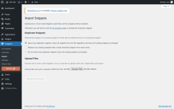 Page screenshot: Snippets &rarr; Import