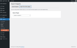 Page screenshot: Snippets &rarr; Import &rarr; Import from other plugins