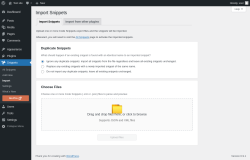 Page screenshot: Snippets &rarr; Import