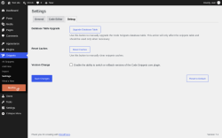Page screenshot: Snippets &rarr; Settings &rarr; Debug