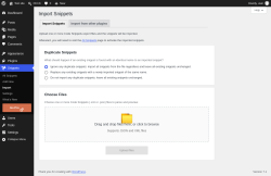 Page screenshot: Snippets &rarr; Import