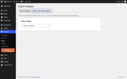 Page screenshot: Snippets &rarr; Import &rarr; Import from other plugins
