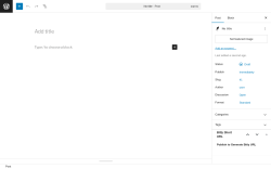 Page screenshot: Add Post ‹ Test site — WordPress