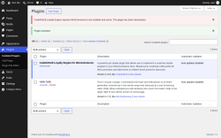 Page screenshot: Plugins &lsaquo; Test site &mdash; WordPress