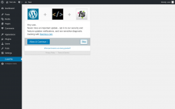 Page screenshot: CodePile ‹ Test site — WordPress