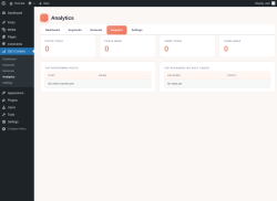 Page screenshot: SEO Content &rarr; Analytics