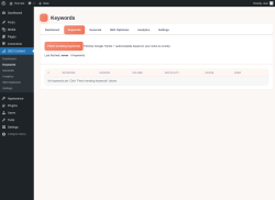 Page screenshot: SEO Content &rarr; Keywords