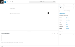Page screenshot: Add Post ‹ Test site — WordPress
