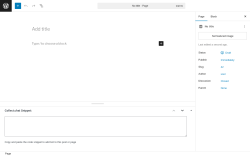 Page screenshot: Add Page ‹ Test site — WordPress