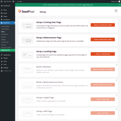 Page screenshot: SeedProd &rarr; Setup