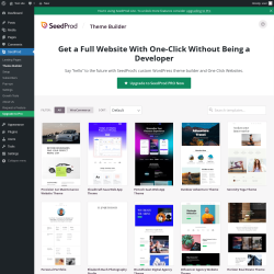 Page screenshot: SeedProd &rarr; Theme Builder