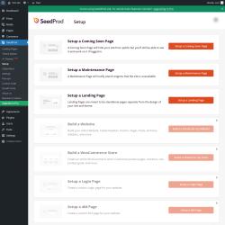 Page screenshot: SeedProd → Setup