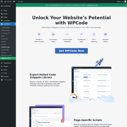 Page screenshot: SeedProd → Custom Code