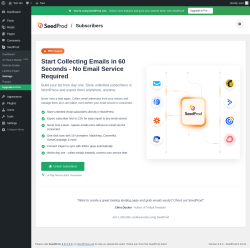 Page screenshot: SeedProd &rarr; Settings &rarr; 
					Subscribers				
