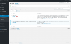 Page screenshot: Plugins &lsaquo; Test site &mdash; WordPress