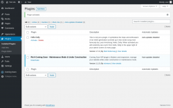 Page screenshot: Plugins &lsaquo; Test site &mdash; WordPress