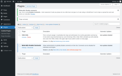 Page screenshot: Plugins &lsaquo; Test site &mdash; WordPress