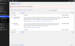 Page screenshot: Plugins &lsaquo; Test site &mdash; WordPress