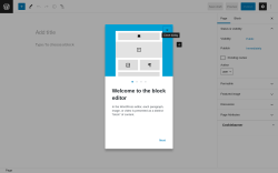 Page screenshot: Add New Page &lsaquo; Test site &mdash; WordPress
