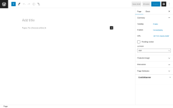Page screenshot: Add New Page &lsaquo; Test site &mdash; WordPress