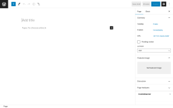Page screenshot: Add New Page &lsaquo; Test site &mdash; WordPress