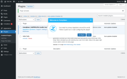 Page screenshot: Plugins &lsaquo; Test site &mdash; WordPress