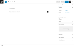 Page screenshot: Add New Page &lsaquo; Test site &mdash; WordPress