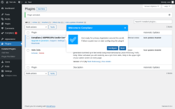 Page screenshot: Plugins &lsaquo; Test site &mdash; WordPress