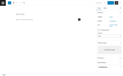Page screenshot: Add New Page &lsaquo; Test site &mdash; WordPress