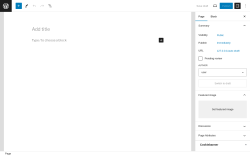 Page screenshot: Add New Page &lsaquo; Test site &mdash; WordPress