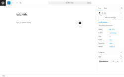 Page screenshot: Add Post ‹ Test site — WordPress