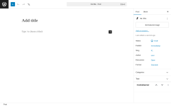 Page screenshot: Add Post &lsaquo; Test site &mdash; WordPress