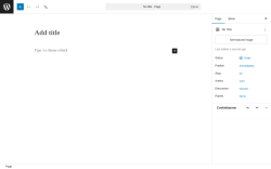 Page screenshot: Add Page &lsaquo; Test site &mdash; WordPress