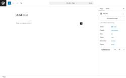 Page screenshot: Add Page &lsaquo; Test site &mdash; WordPress
