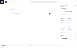 Page screenshot: Add Post &lsaquo; Test site &mdash; WordPress