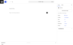 Page screenshot: Add Page &lsaquo; Test site &mdash; WordPress