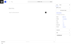 Page screenshot: Add Post &lsaquo; Test site &mdash; WordPress