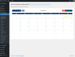 Page screenshot: Repair Buddy → Appointments