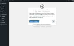 Page screenshot: ‹ Test site — WordPress