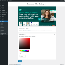 Page screenshot: Settings → Connectoor Jobs Settings