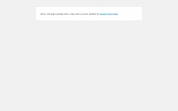 Page screenshot: WordPress › Error