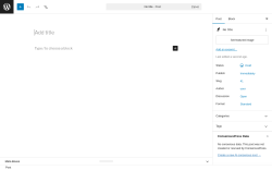 Page screenshot: Add Post &lsaquo; Test site &mdash; WordPress