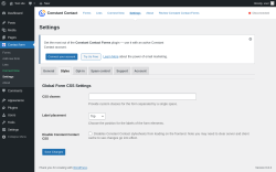 Page screenshot: Contact form → Settings → Styles