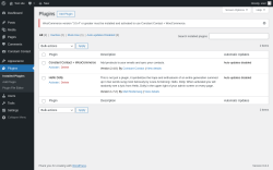Page screenshot: Plugins ‹ Test site — WordPress